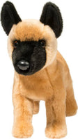 Klaus Belgian Malinois