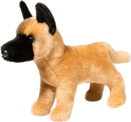 Klaus Belgian Malinois
