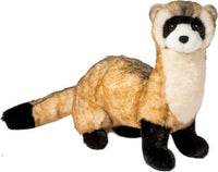 Vince Bl Foot Ferret