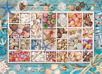 Laura's Seashell Collection