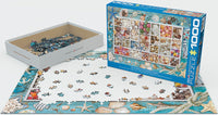 Laura's Seashell Collection