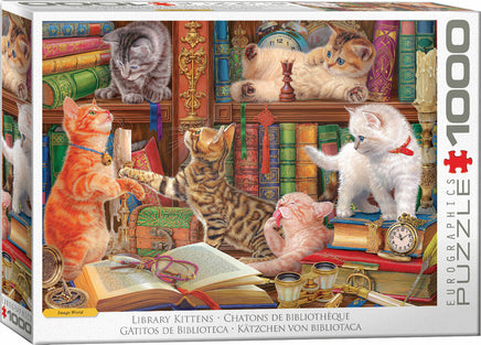 Library Kittens