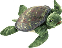 Sea Turtle