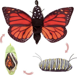 Monarch Life Cycle