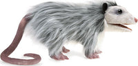 Opossum