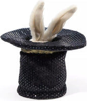 Mini Magic Hat Puppet