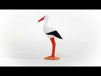 Stork