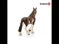 Clydesdale Mare