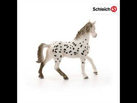 Knabstrupper Mare