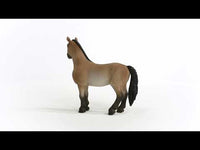 schleich Horse Club Criollo Definitivo Mare