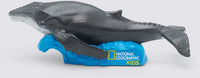 National Geographic's Whale Tonie