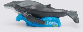 National Geographic's Whale Tonie